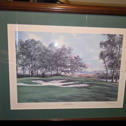 Framed BARRY HONOWOTZ 