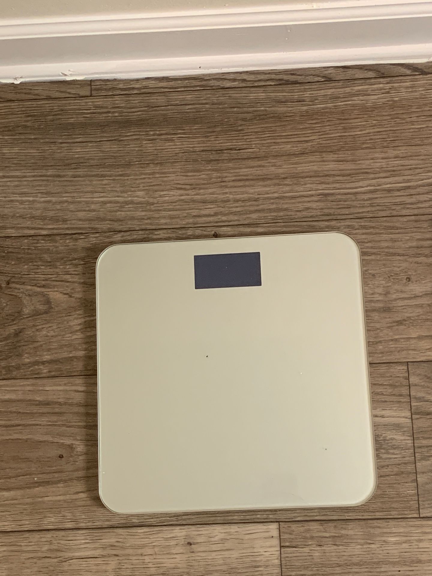 Digital weight scale