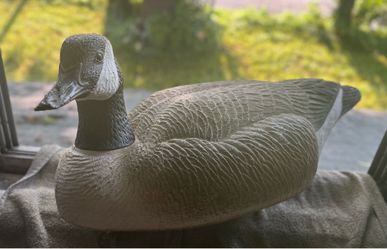 Goose Decoy