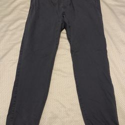  The RAIL Men’s size large jogger style pants gray