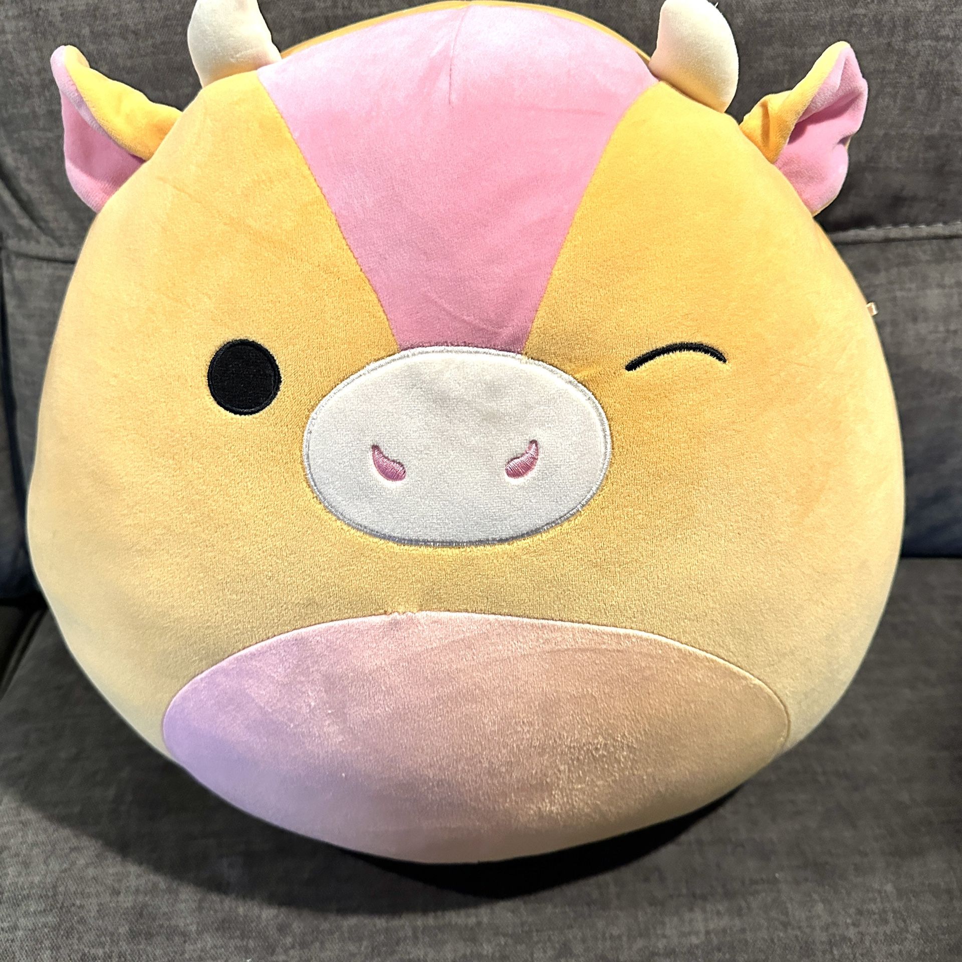 16" Adjani sunset belly Cow