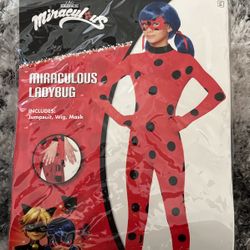 Girls Lady Bug Costume 