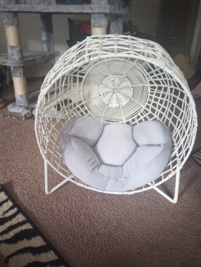 Small Doggie Bed (New)