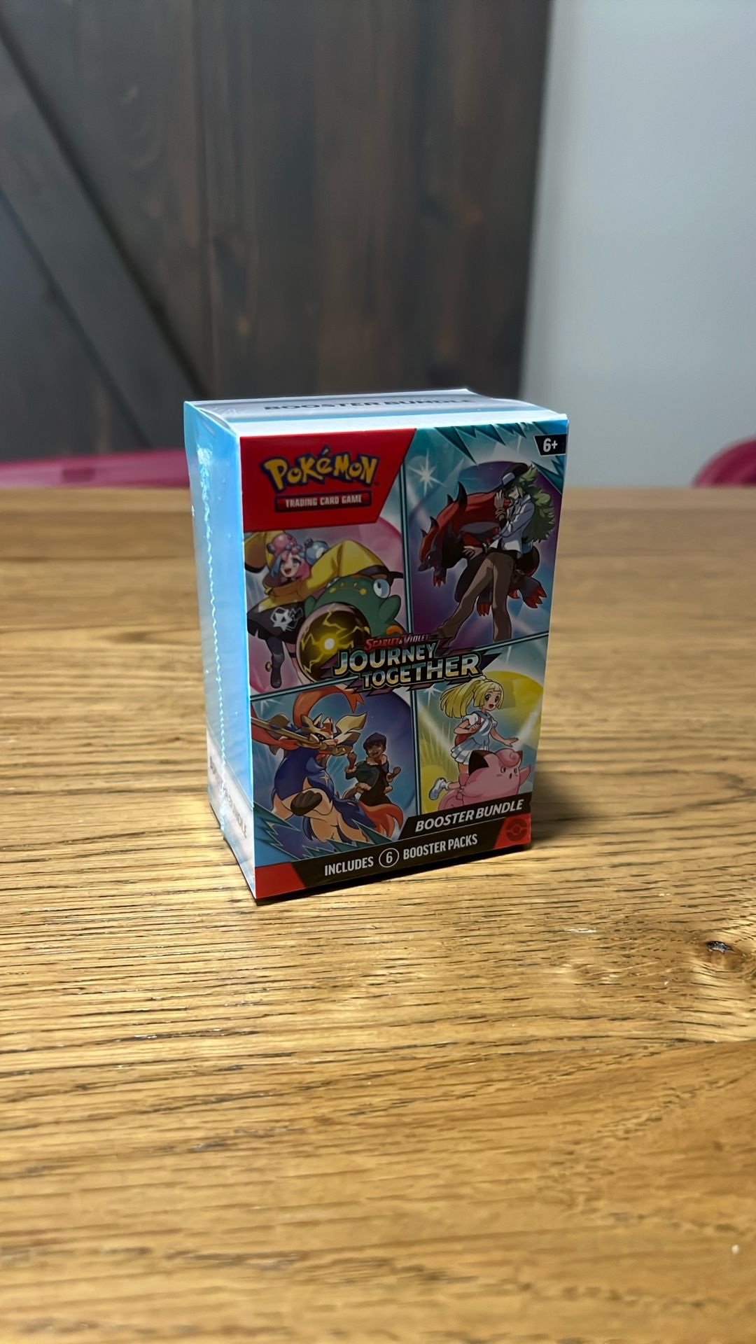 Pokémon Journey Together Booster Bundle