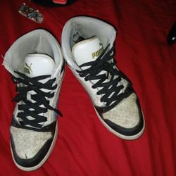 Pumas For Trade 