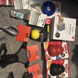 Dog Toys And Dog Collars