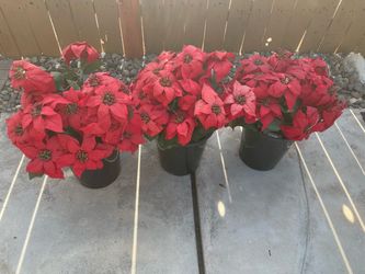 Artificial Poinsettia