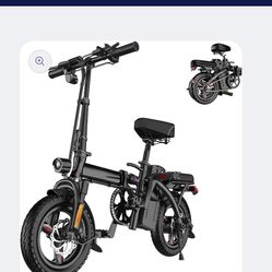 Electric Mini Bike