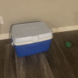 Cooler