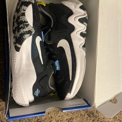 Basketball Shoes