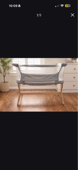 Bassinet (Newton)