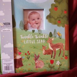 Memory Frame And Book