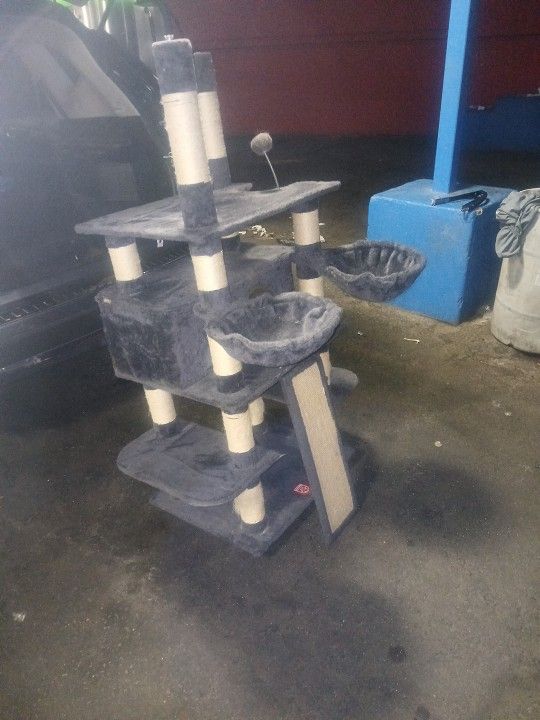 Kitty House To Play