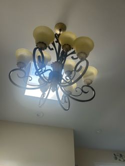 9 Light Chandelier