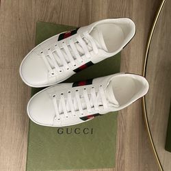 Gucci new ace sneakers size 4 1/2 equivalent to a 5 1/2