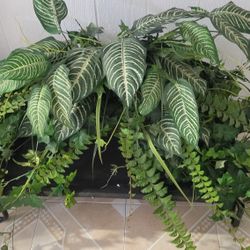 Artificial Plant Decorations 