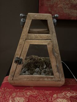 Plant Mossarium/terrarium