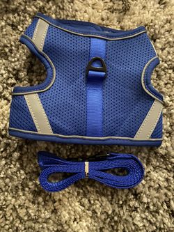 Dog harness and leash Blue sz L