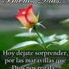 Idania
