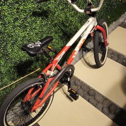 Dynacraft Tony Hawk Jargon Freestyle BMX bike