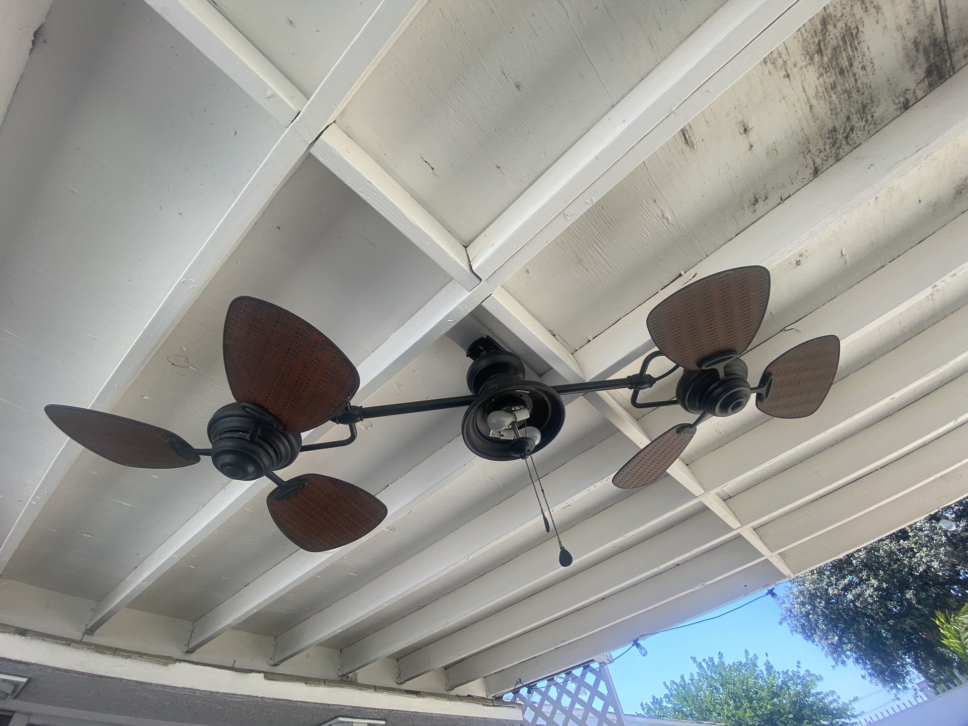 Ceiling Fan ( Double )