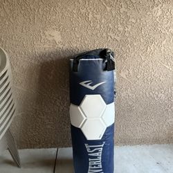 80 Lb Everlast Heavy Bag