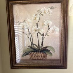 Beautiful Floral Picture