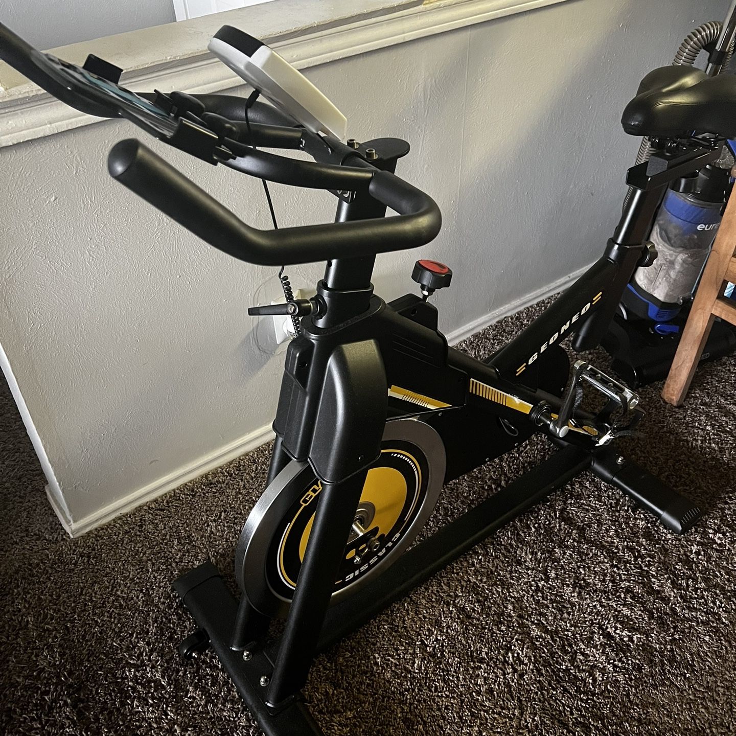 Geoneo Exercise Bike