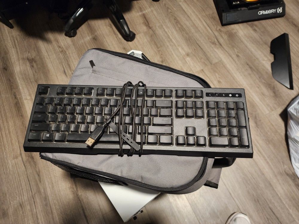 Ornata Chroma