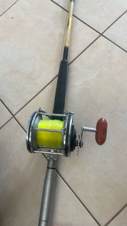 Fishing pole and reel