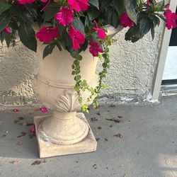 Ceramic Flower Pots With Beautiful Impatience 