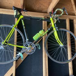 Vintage Trek Composite 2300 Bike, 24” Frame