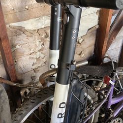 Original Bird Electric Scootets