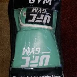 PREMIUM TRAINING/SPARRRING GLOVES