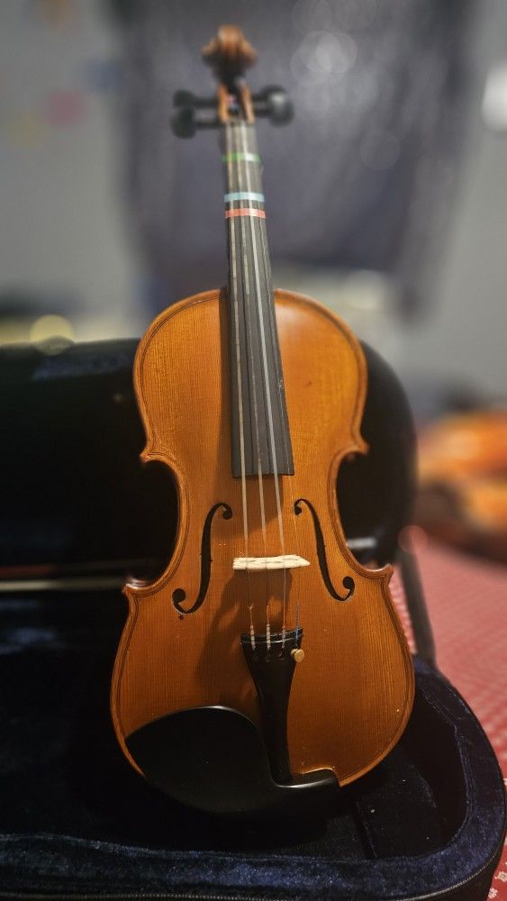 Violin 🎻