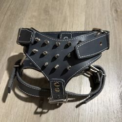 Small Dog Harness