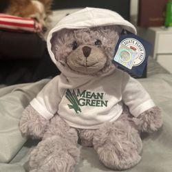 UNT College Stuffed Bear 