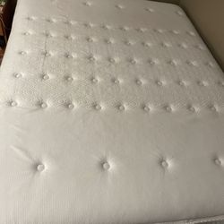 Azario Queen Size Bed w/ Box Spring & Frame 