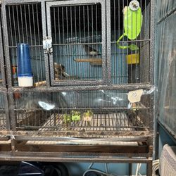 Small Cage