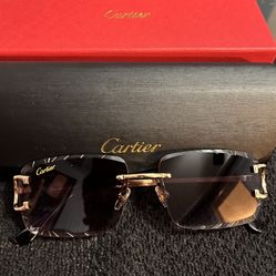 Cartier Sunglasses 