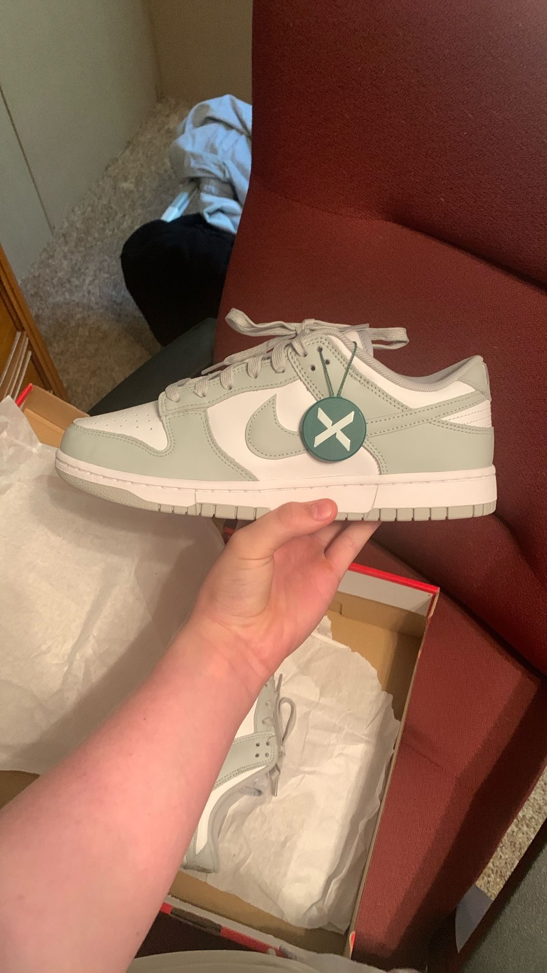 Nike SB Dunk Lows Retro 
