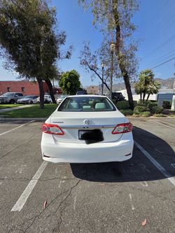 Corolla 13
