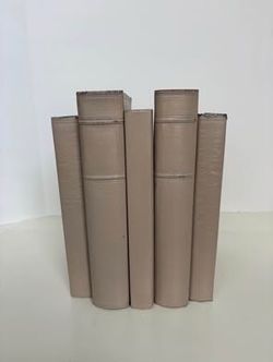 Set of 5 Beige Painted Books for Staging & Styling Bookcase | Sizes May Vary