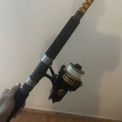 Penn 650 Ss With Rod 10” 