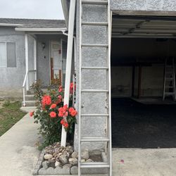 Ladder 