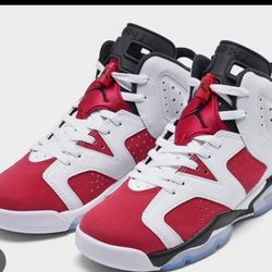 Jordan 6s Brand New 