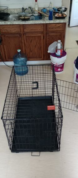 Two Door Dog Crate
