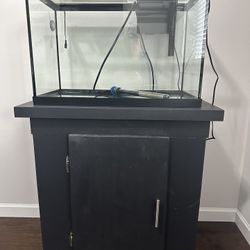 20 Gallon Aquarium Complete Setup With Stand