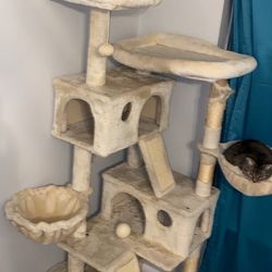 Cat Tree