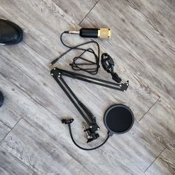 Golden Mic W/ Accessories